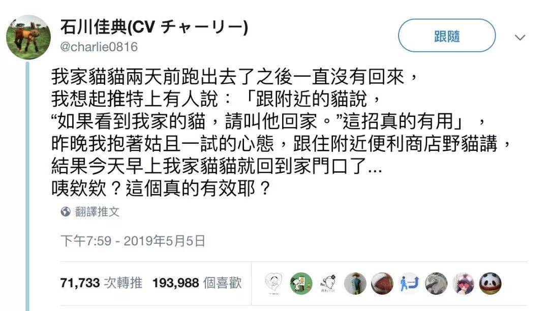 猫走丢了怎么办？“剪刀大法”真的有用吗？