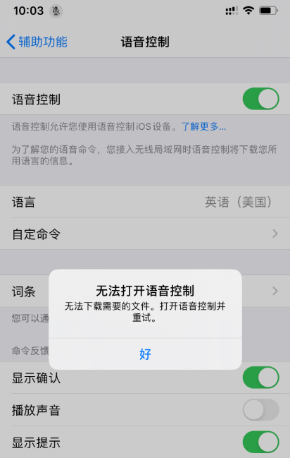 iPhone 11 提示“无法打开语音控制”怎么办？