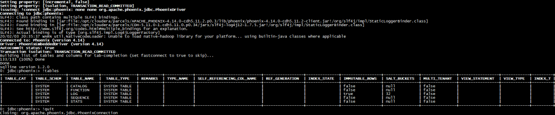 HBase 集成 Phoenix 构建二级索引实践