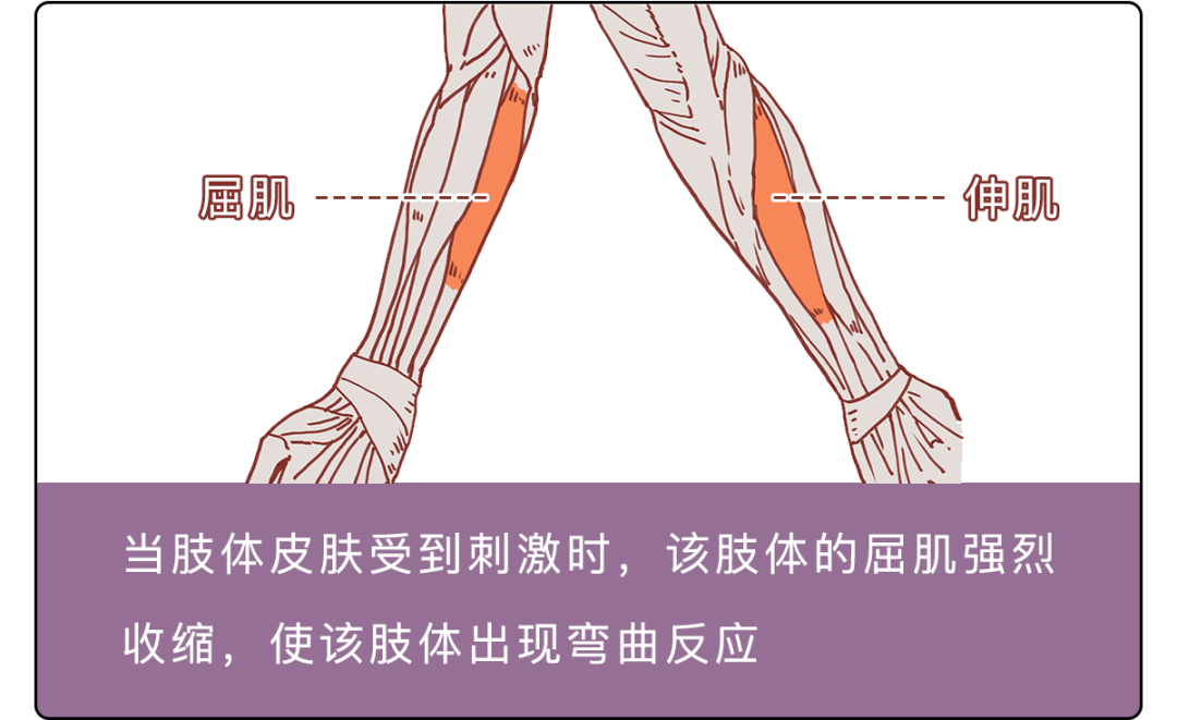 为啥火化尸体时，炉子里会传来哭喊声？