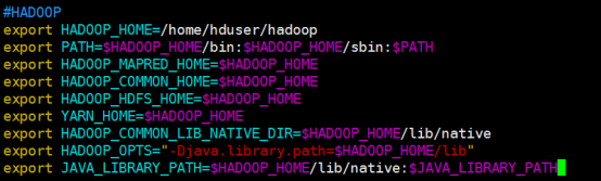hadoop：伪分布模式环境变量的配置