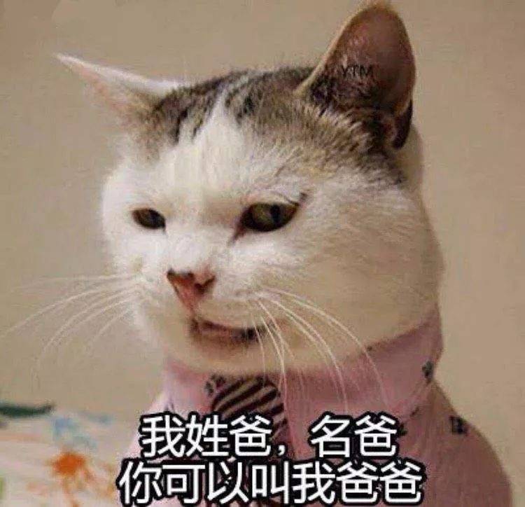 猫走丢了怎么办？“剪刀大法”真的有用吗？