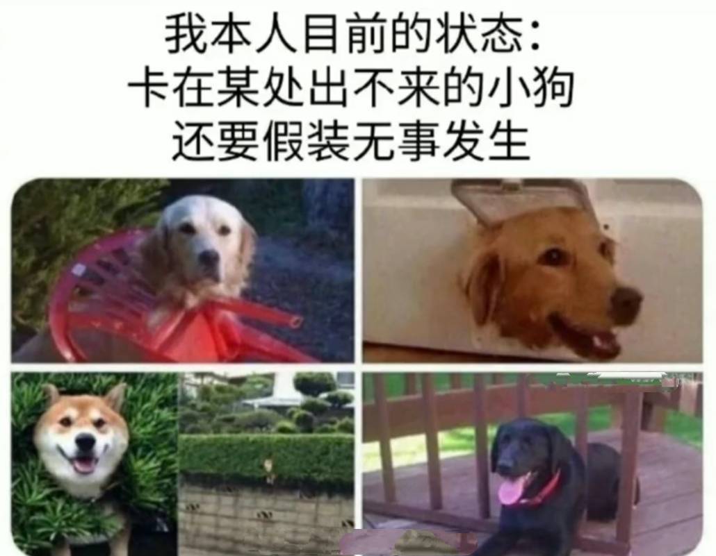 每日一笑：年轻人头秃的原因找到了