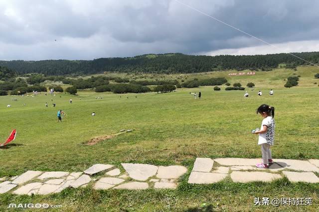 重庆十大著名旅游景点 重庆著名旅游胜地 重庆最有名的景区