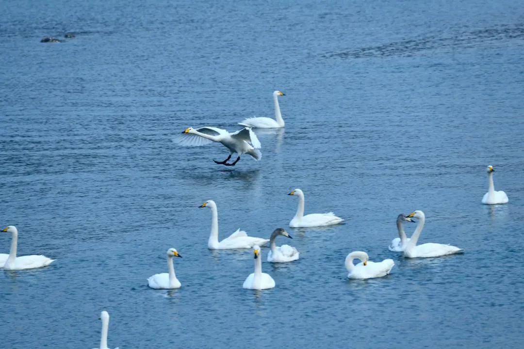 1月最佳旅行地，藏着你没见过的绝色中国，2021的第一份清单