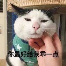 猫走丢了怎么办？“剪刀大法”真的有用吗？