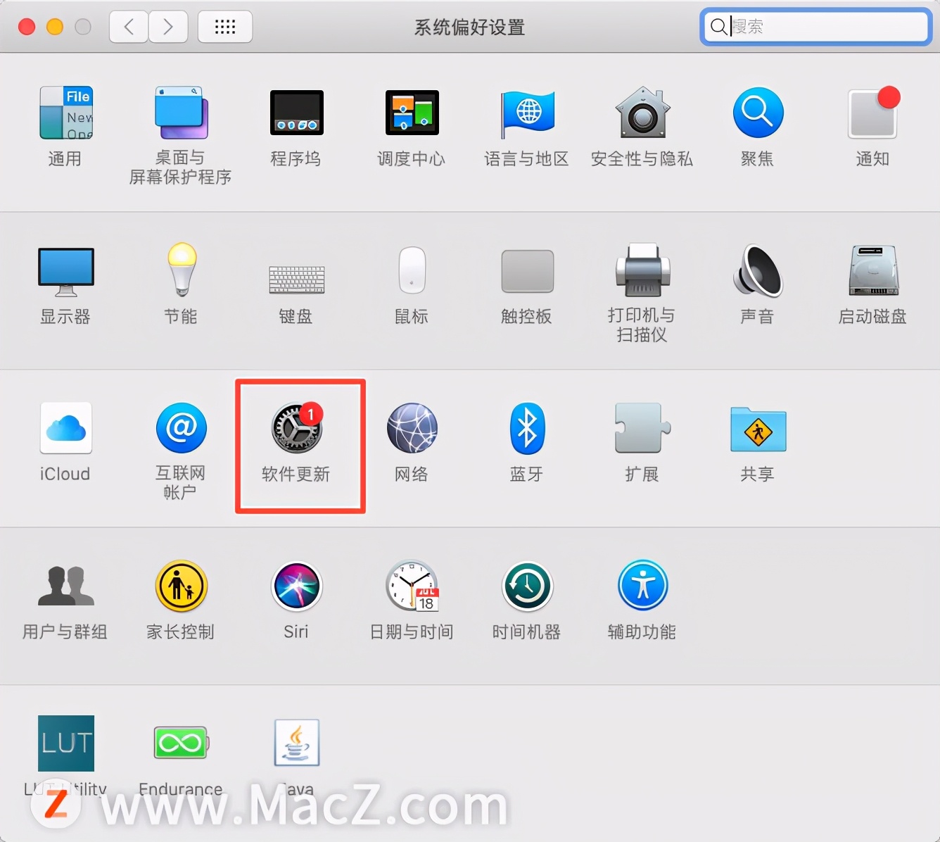 如何使用“软件更新”在Mac上更新Safari？