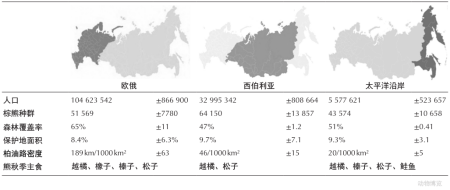 俄罗斯人真的不怕棕熊吗？