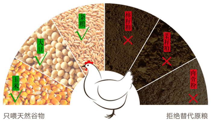 为什么日本的鸡蛋可以生吃，而国内的不行，它们到底有什么区别？