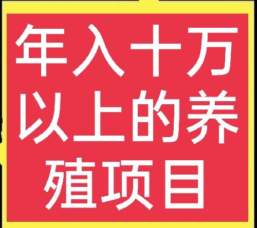 六个特种养殖项目，轻松发家致富，想赚钱的别错过