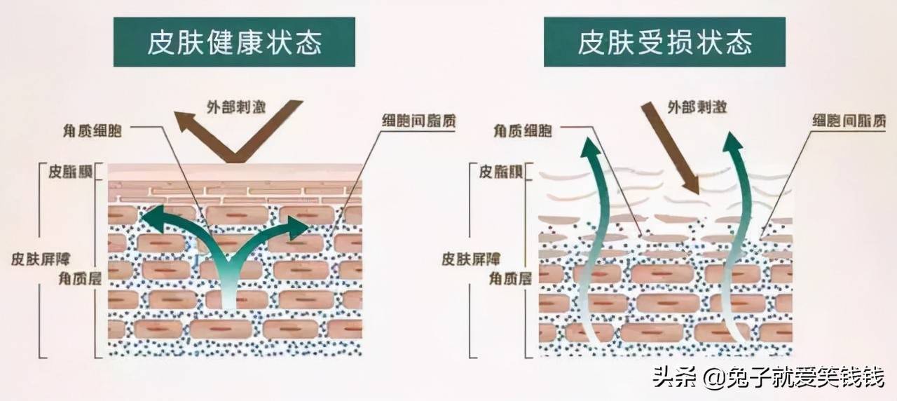 科普日常：黄瓜明明是绿色的，为啥却叫“黄瓜”？