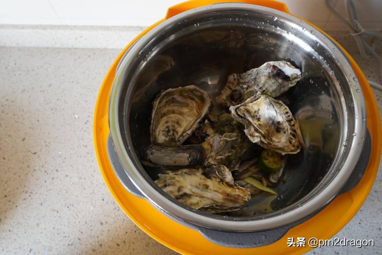 厨房小家电多面手-大宇二合一电压力锅横评