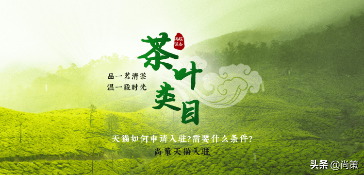 品一茗清茶，温一段时光，茶叶类目天猫如何申请入驻？「尚策」