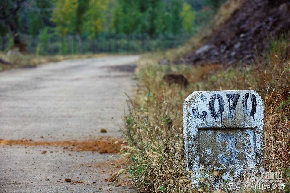 自驾游，怎么也得弄明白国内道路的这些编号吧？