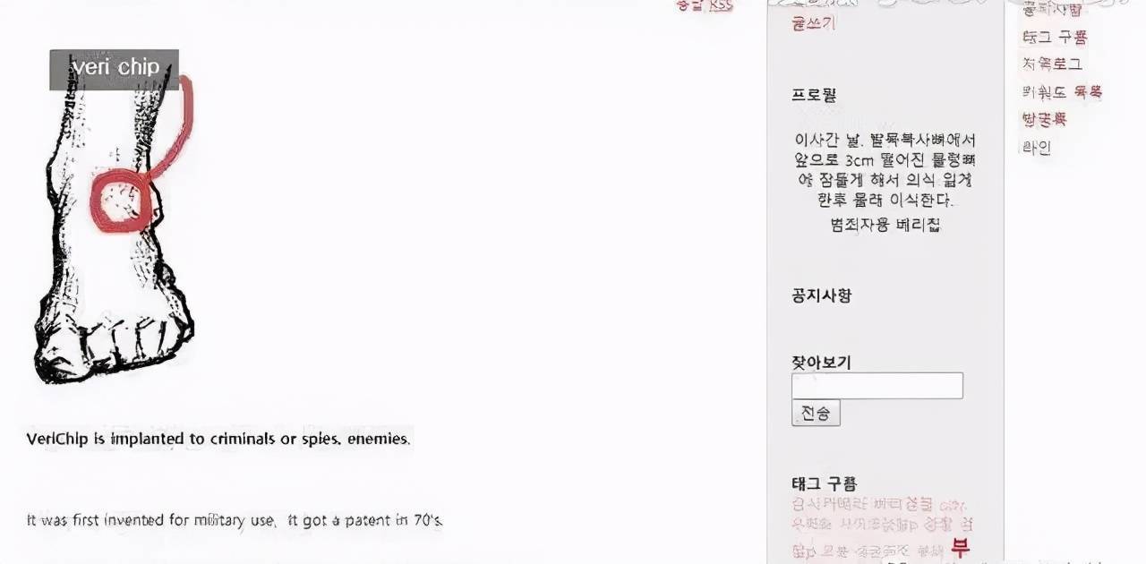 韩国“芯片女”事件，称被脑控10年，直播行为怪异