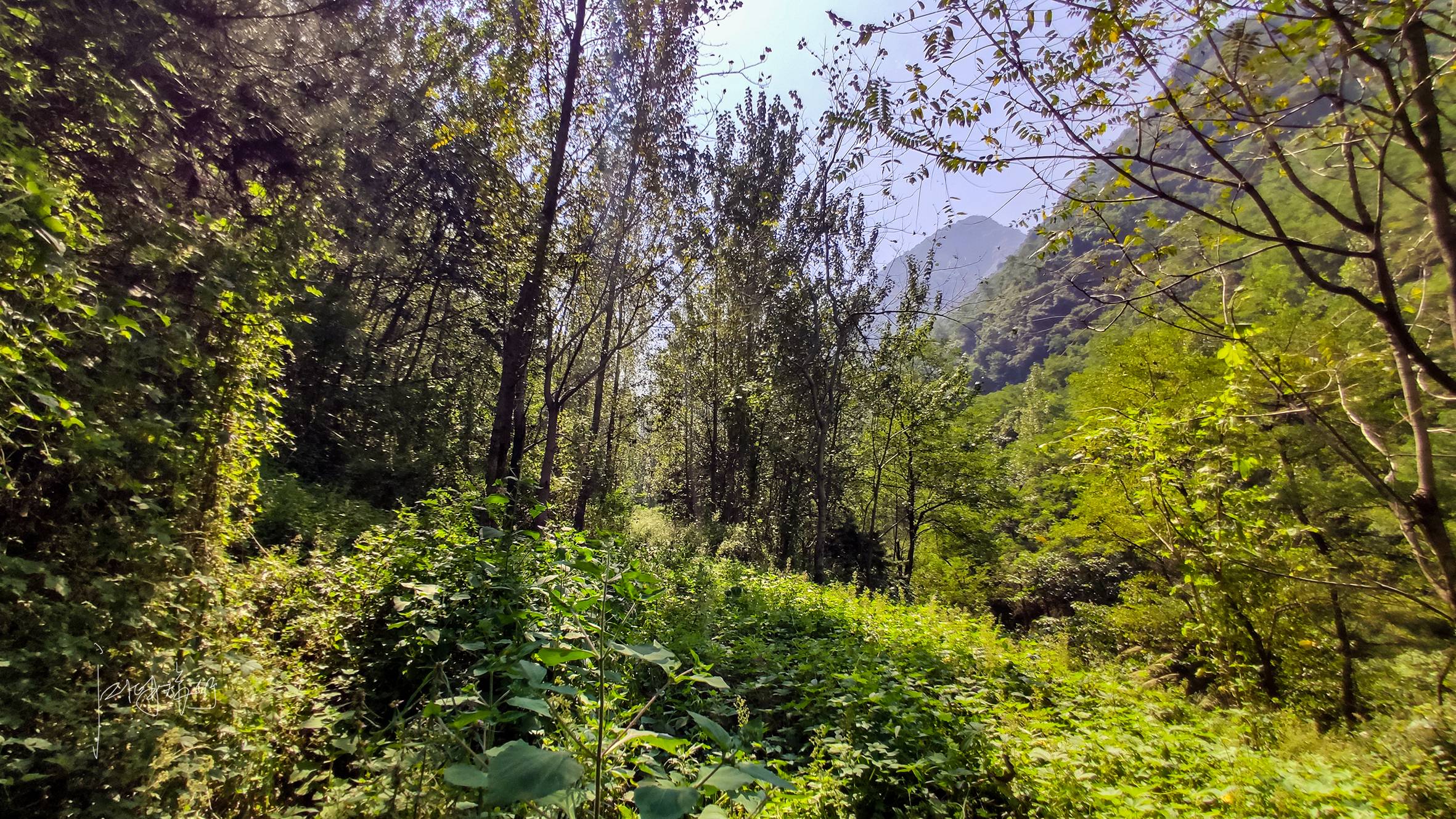 初秋秦岭周末休闲游秘境，西安周边野景区画风不一般，好玩还免费