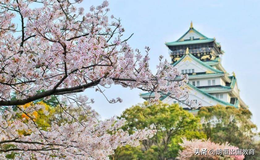和高考一样，考研也是可以选择「日语」来作为公共外语科目