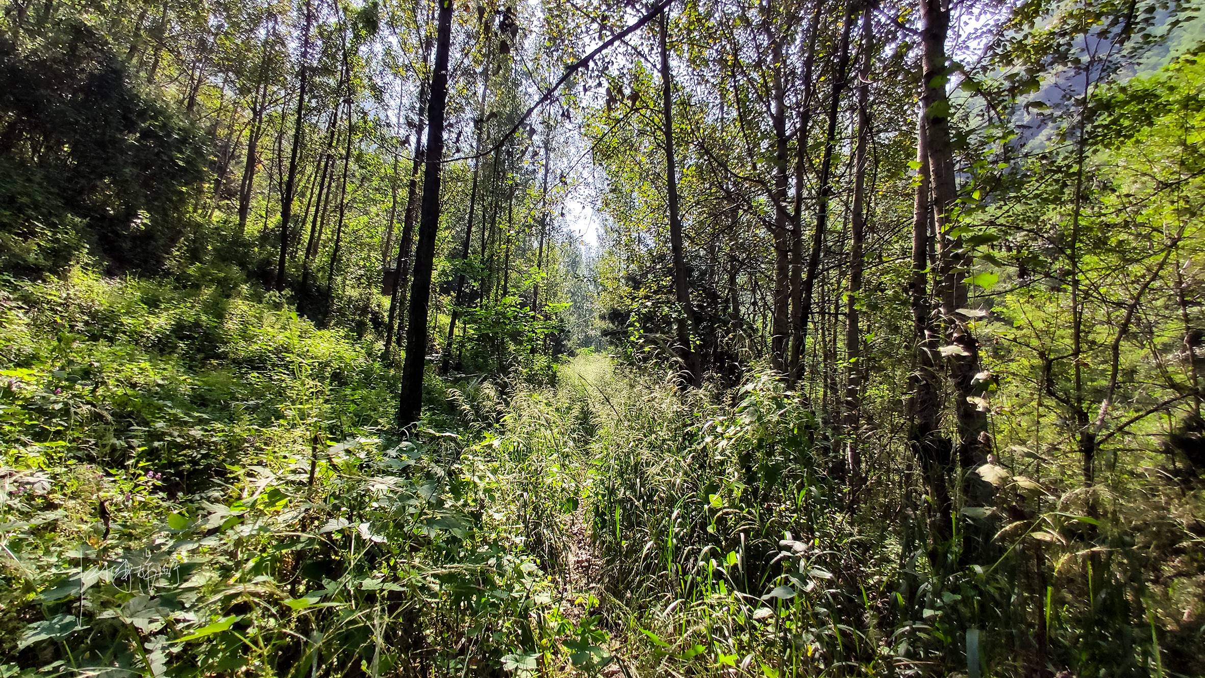 初秋秦岭周末休闲游秘境，西安周边野景区画风不一般，好玩还免费