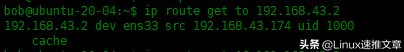 Linux中ip命令的使用实例