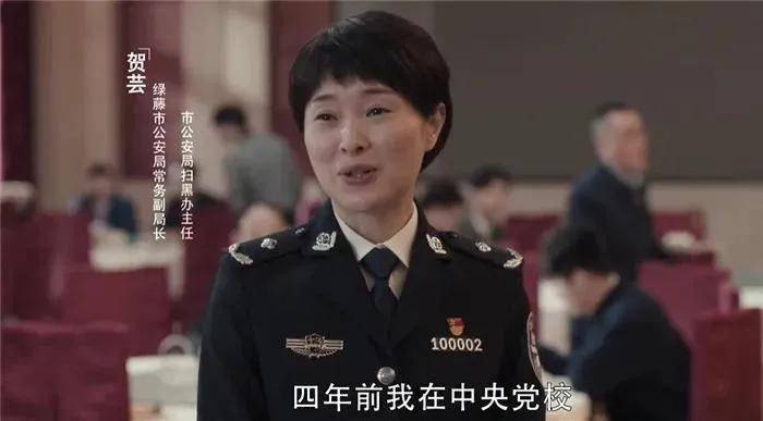 扫黑风暴：市公安局常务副局长贺芸什么级别，为何没有当上局长