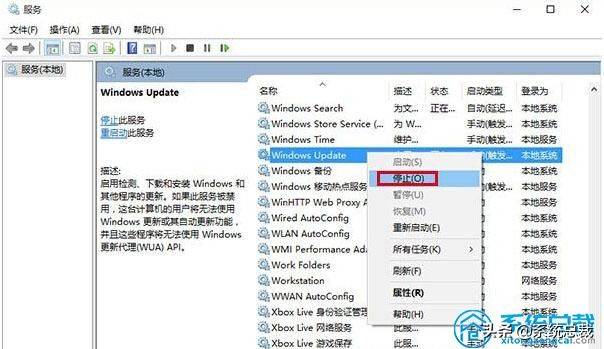 使用Win10系统，发现应用商店无法下载应用，学学以下解决方法