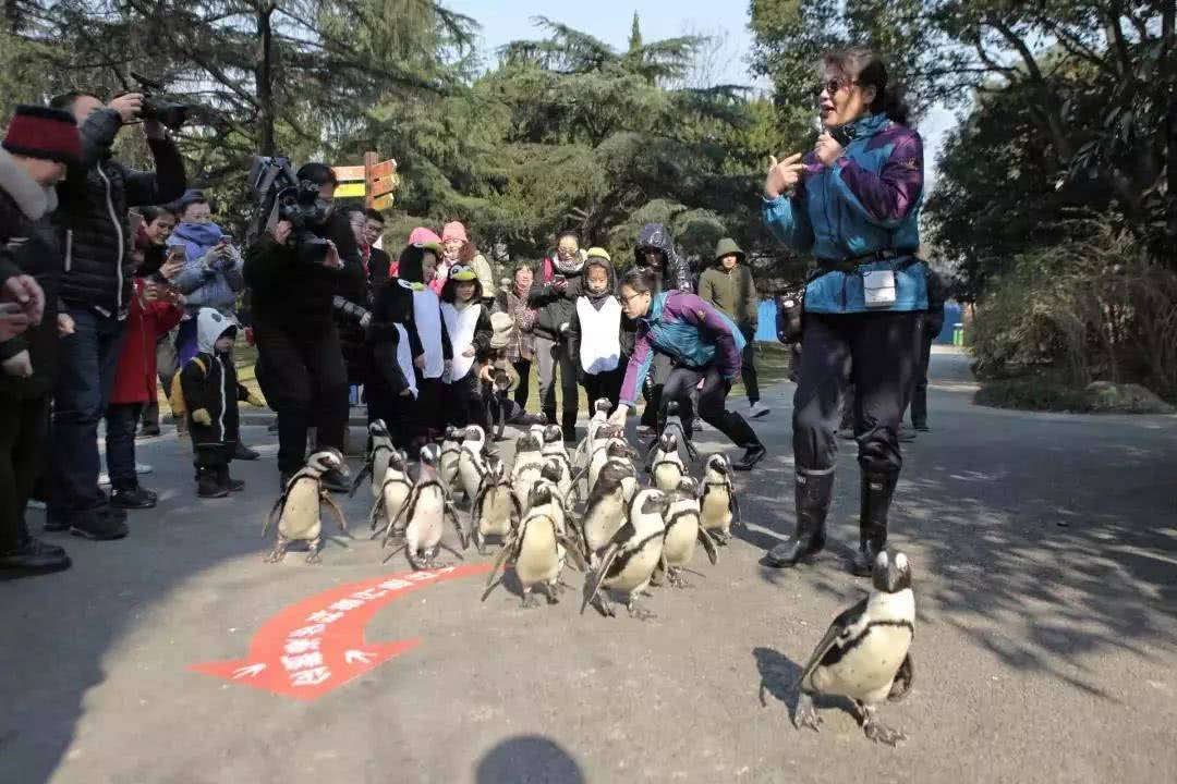 来上海玩除了迪士尼，这些能涨知识的溜娃圣地，每个家长都应收藏