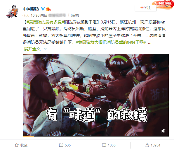 黄鼠狼的“臭屁”在网上火了，其实它的屁，不仅臭还有毒