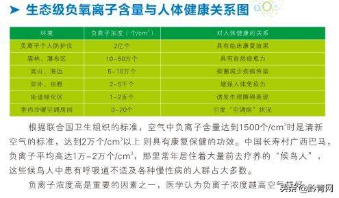 九美葡力负氧离子---改变房间环境，释放负离子