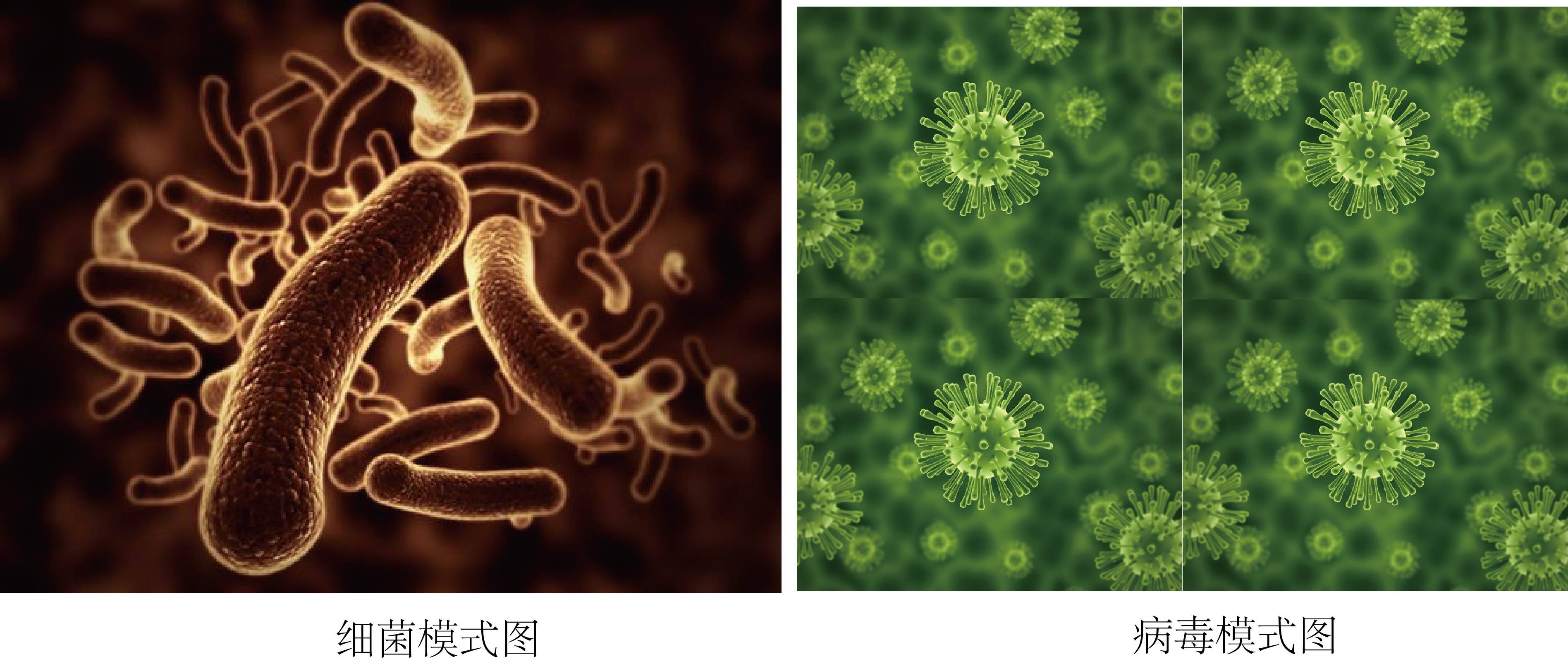 分清楚那些引起疾病的坏蛋们—病菌、病毒