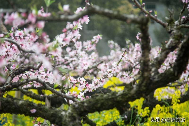 来到长兴旅游不得不去的十个景点