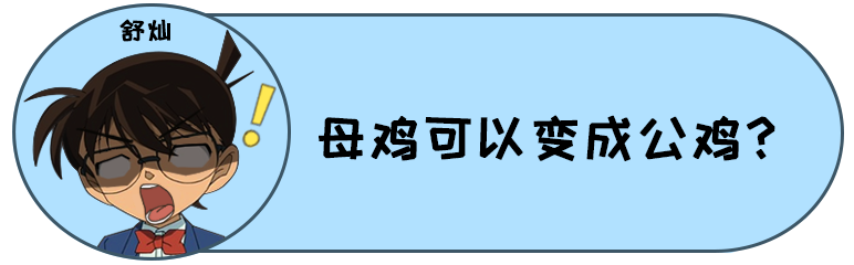 安全裤，到底有多安全？