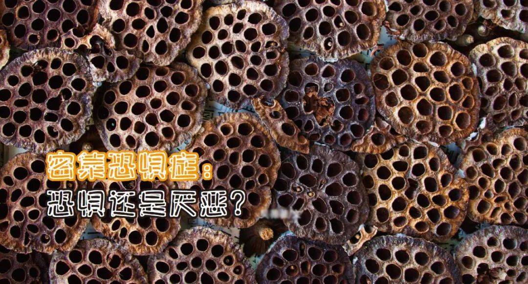 密集恐惧症：恐惧还是厌恶？