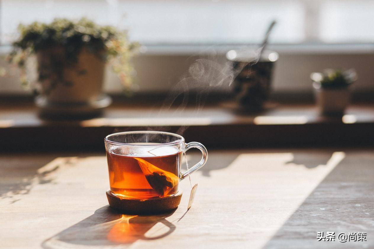 品一茗清茶，温一段时光，茶叶类目天猫如何申请入驻？「尚策」