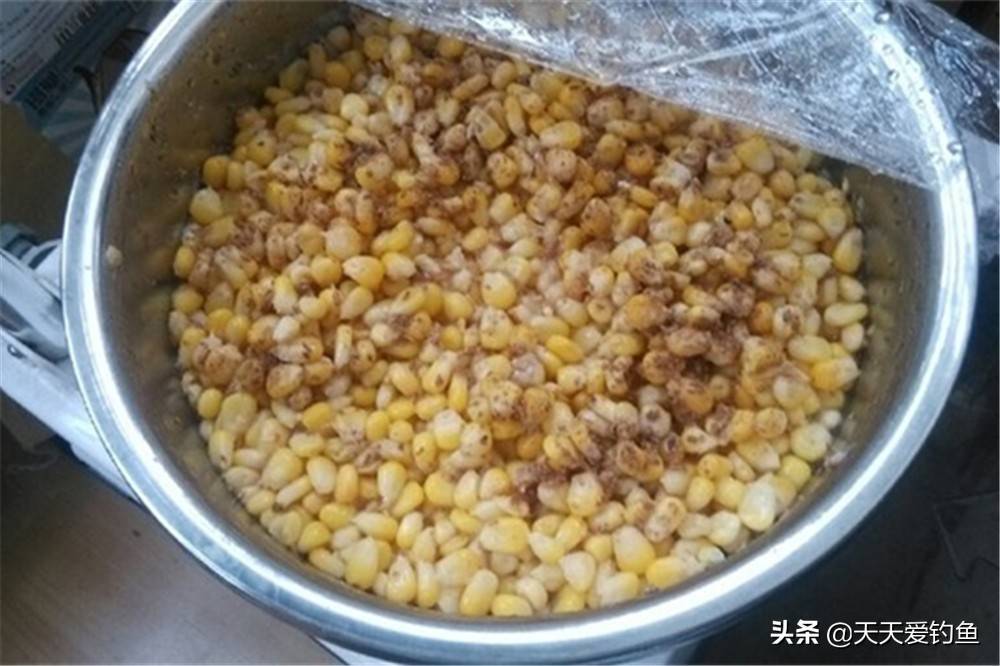 野钓大鲤鱼，自制饵料中的经典配方，如果钓不到，说明水中没鲤鱼