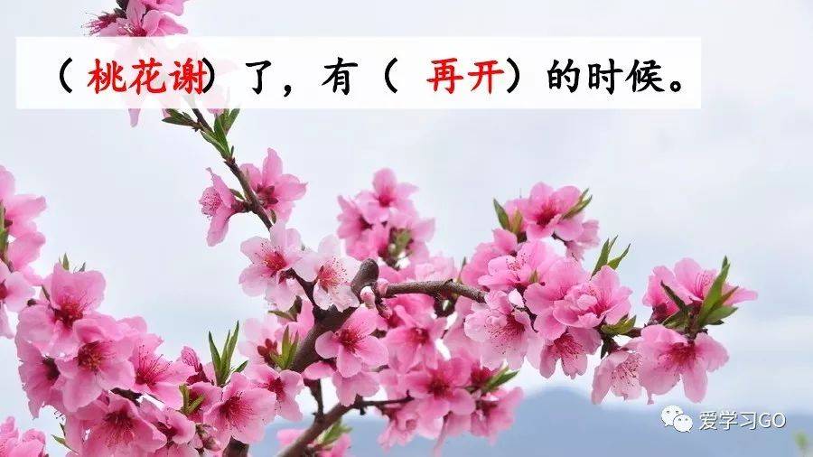 部编版小学语文六年级下册第8课《匆匆》图文讲解 知识要点