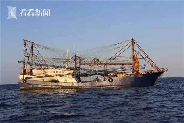 渔船厨房里有两只海龟？竟是濒危野生动物