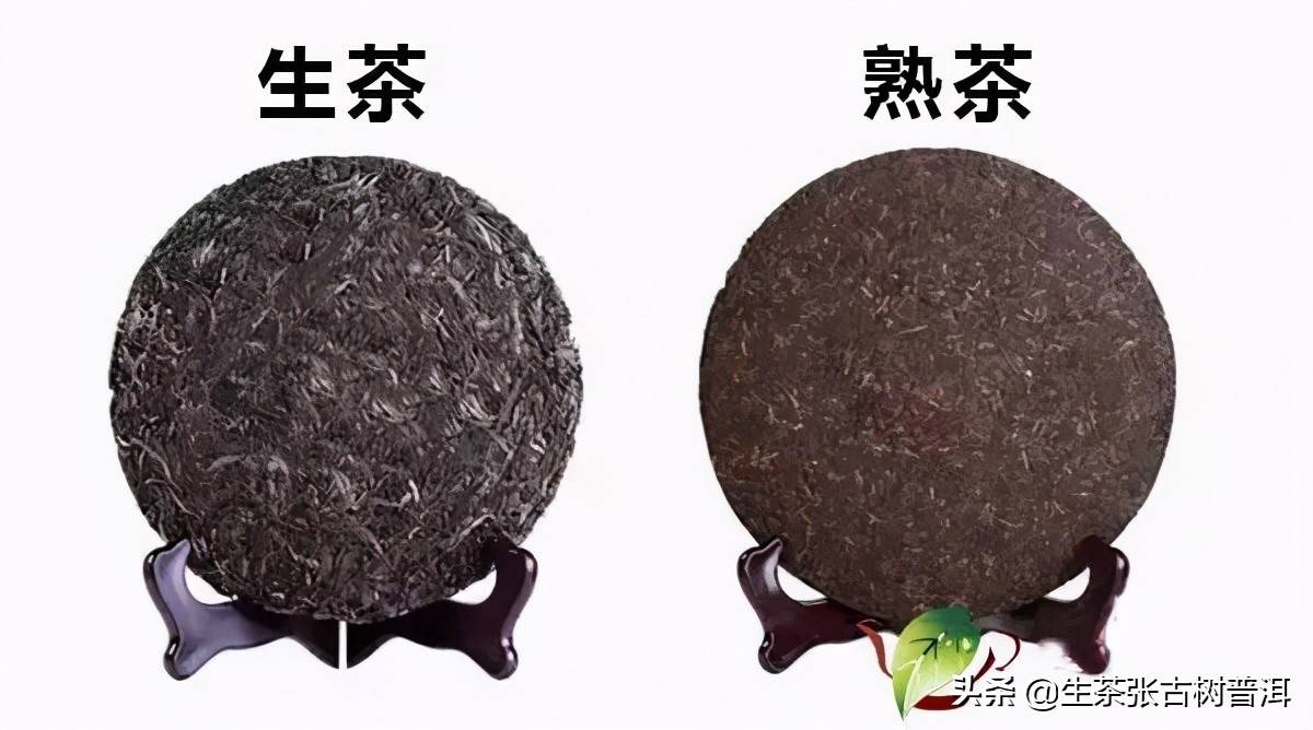 「普洱茶知识汇总」你想要了解的普洱茶知识全在这里