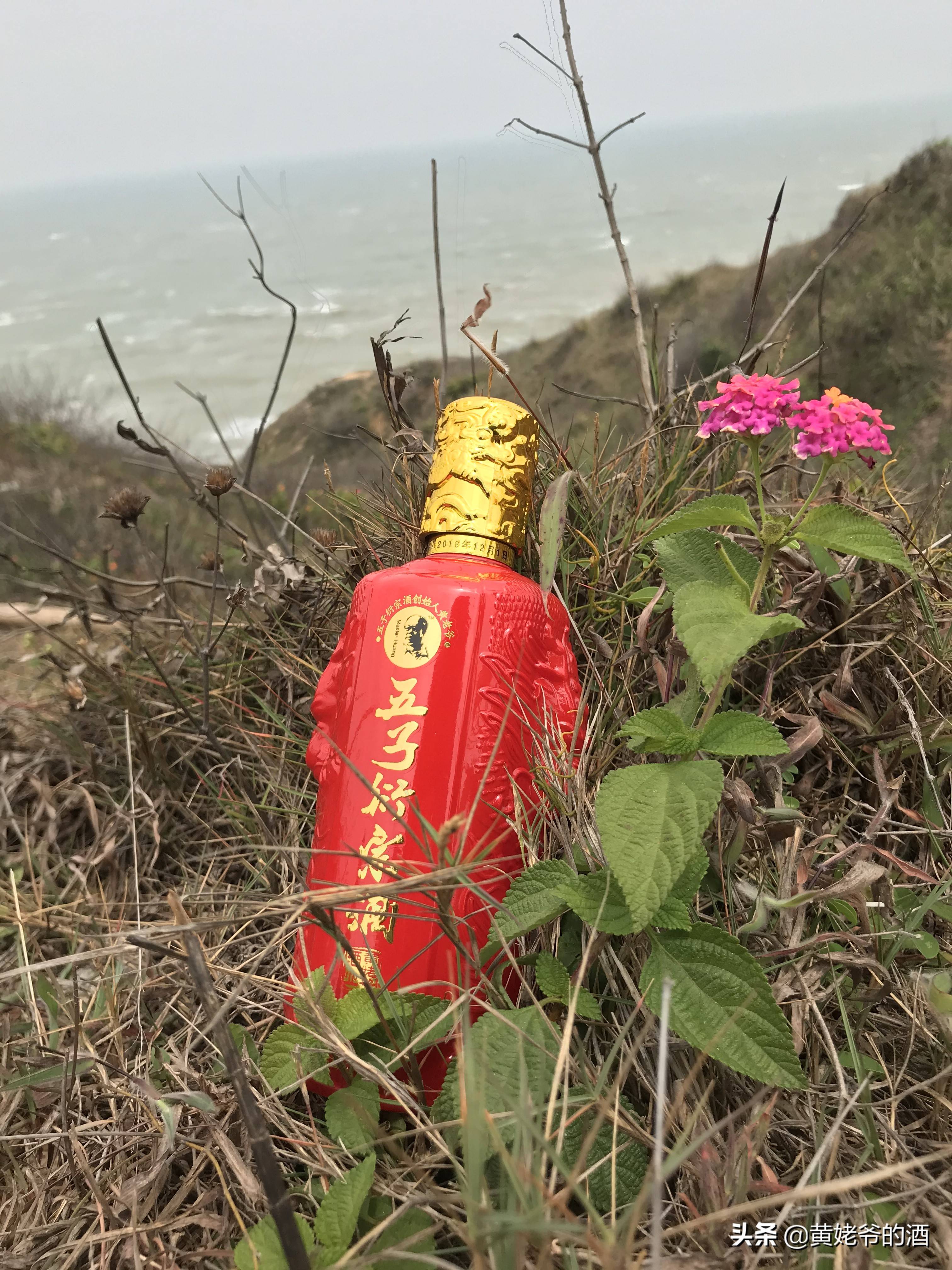 白酒都有哪些香型？果香型白酒可曾见过？