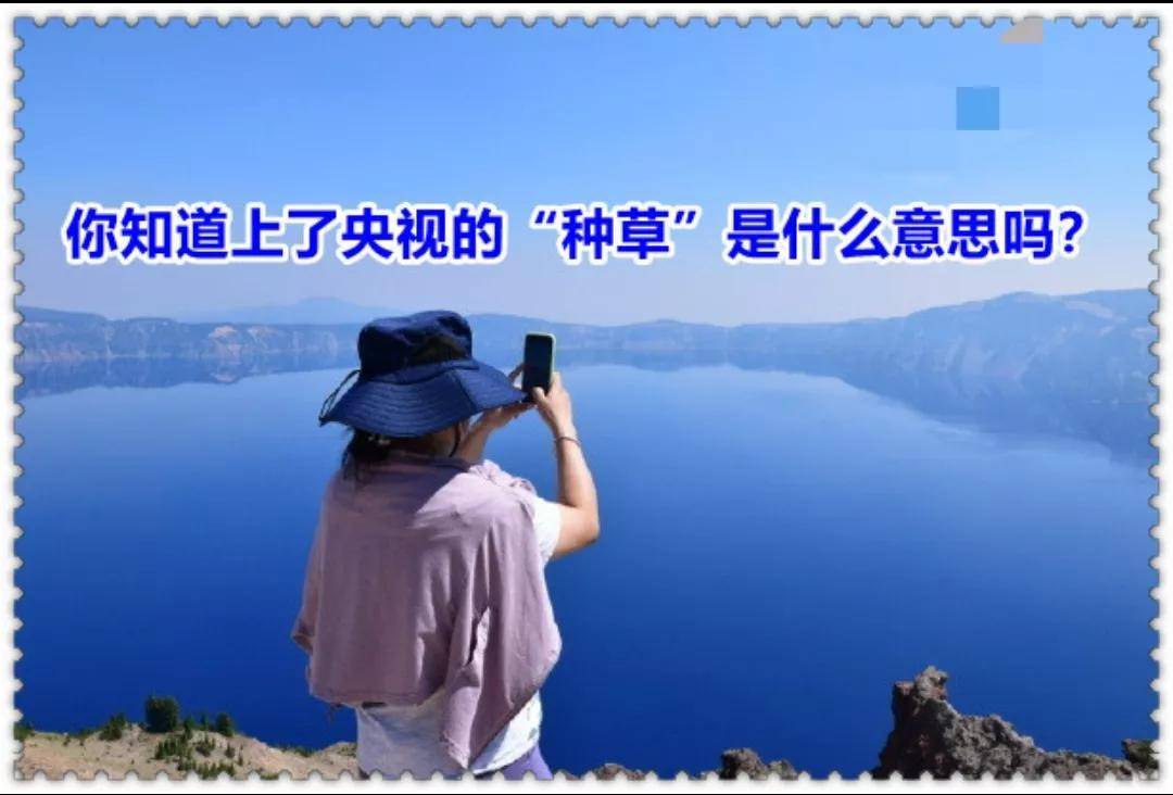 种草经济藏猫腻你知道上了央视的“种草”是什么意思吗？