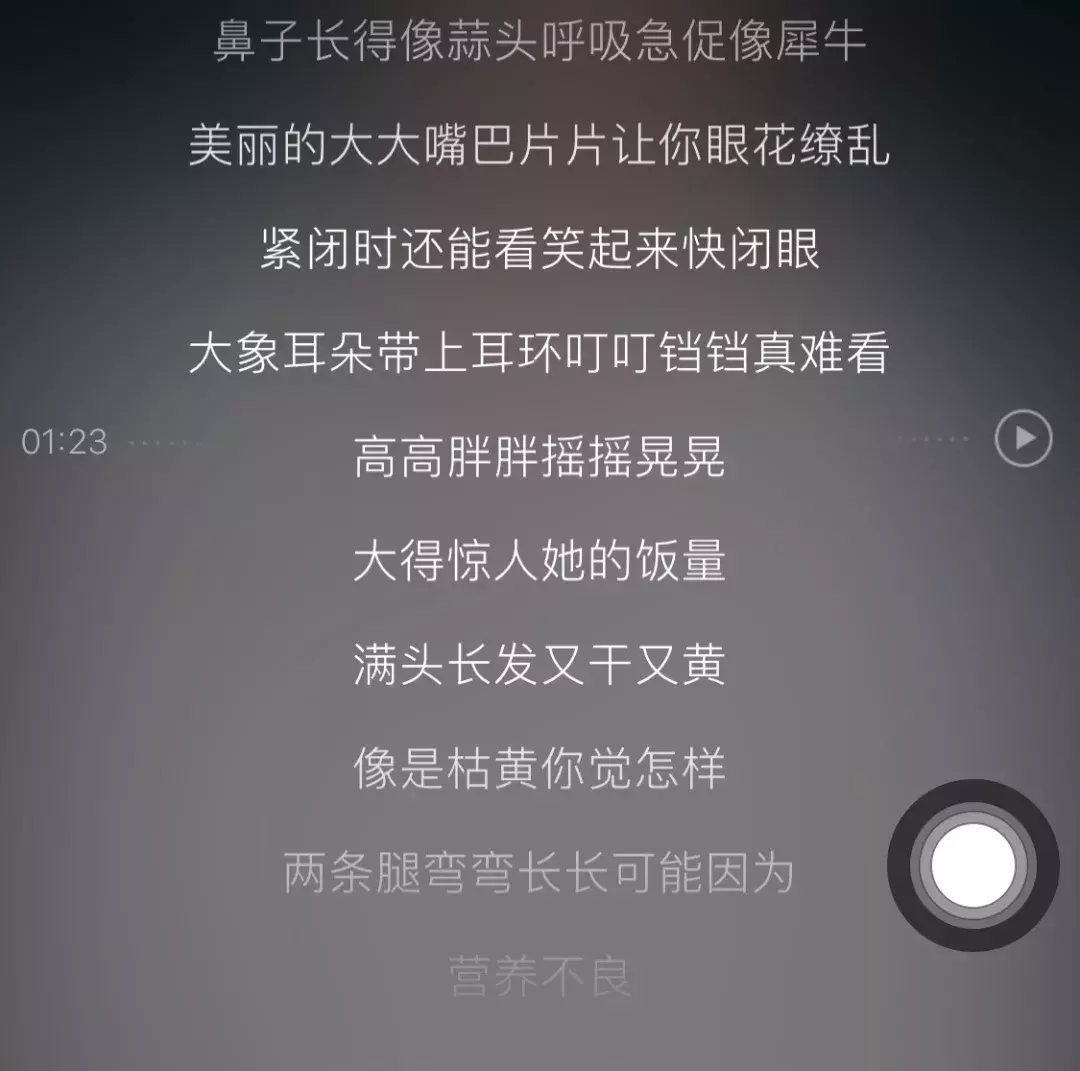 迷惑歌词大赏，我这些年都听了些什么