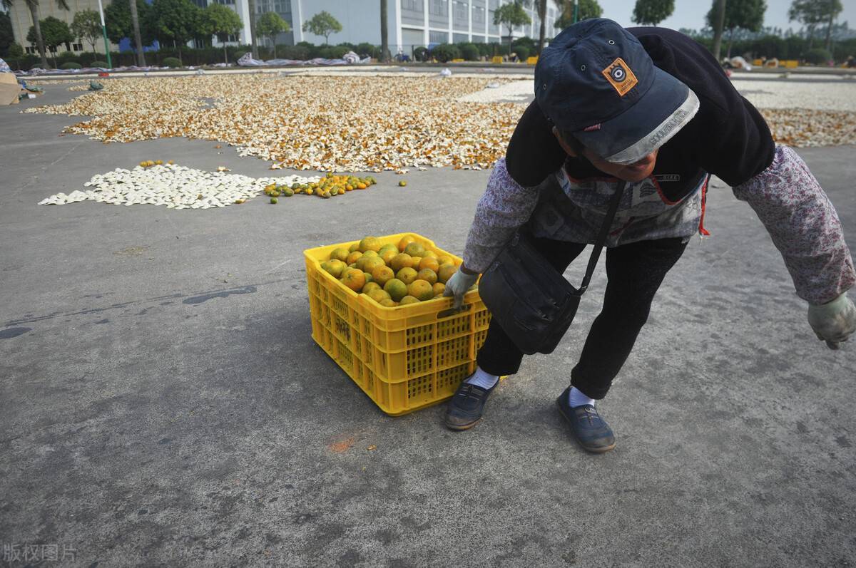 小青柑=陈皮 普洱茶？不好意思，你又被骗了