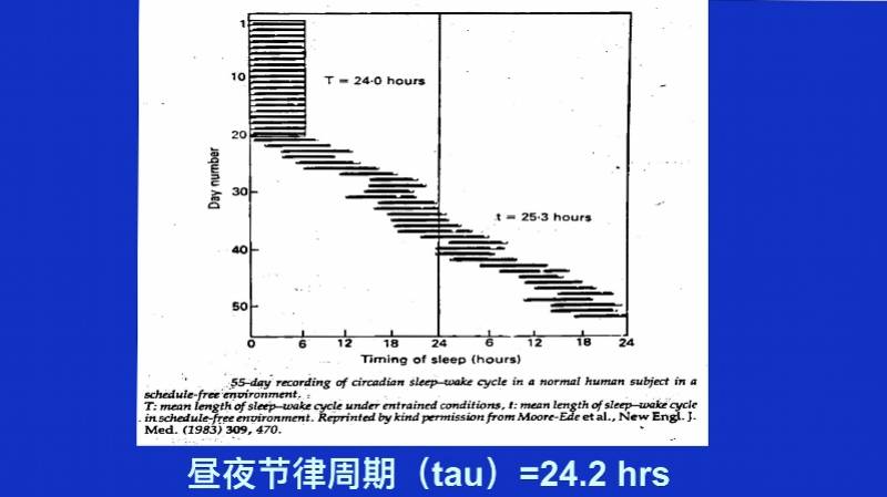 晒太阳能治失眠？褪黑素这样吃才有用？专家带你探索睡眠奥秘