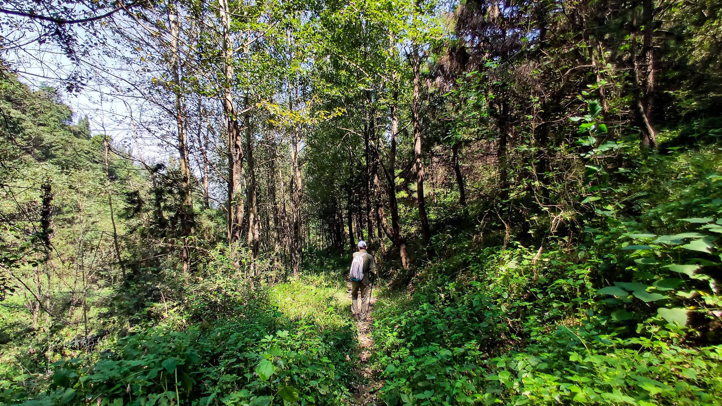 初秋秦岭周末休闲游秘境，西安周边野景区画风不一般，好玩还免费