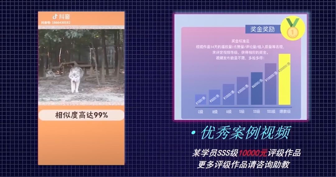 公开课 | 抖音从0做到2000万粉丝教程