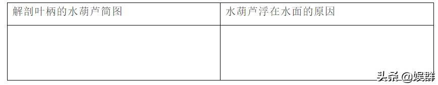 三年级下册 科学 苏教版 第七课 水里的植物 同步练习