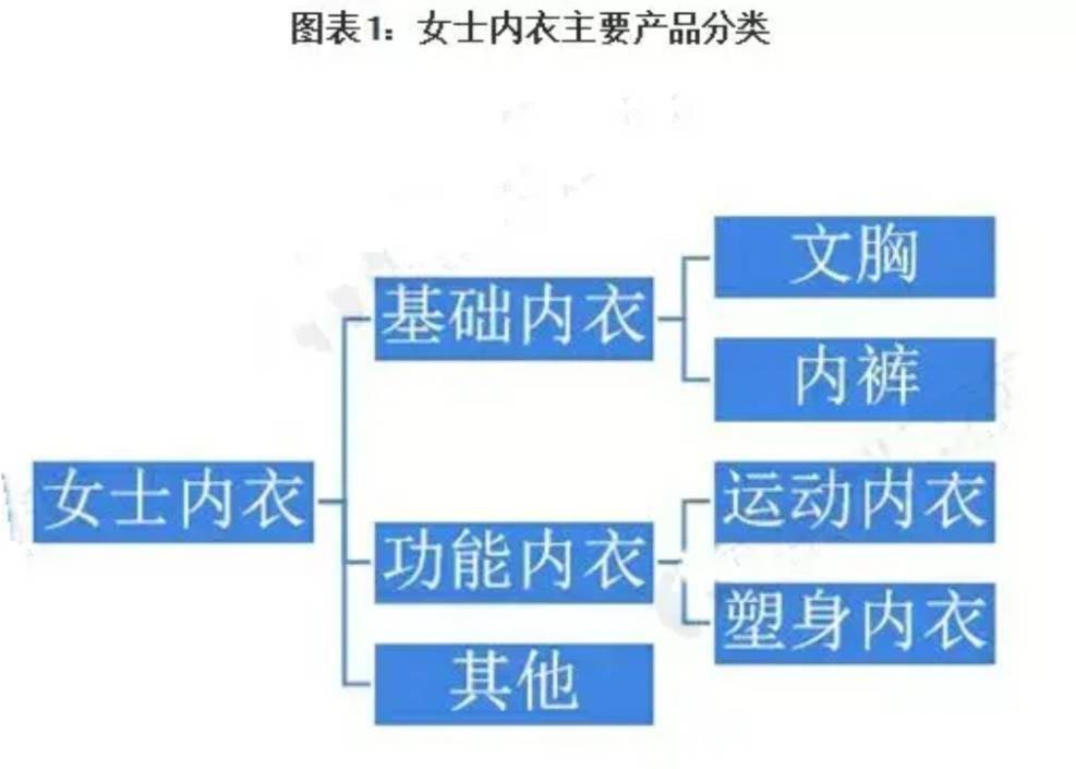 中国女性内衣发展的20年涌现了那些品牌