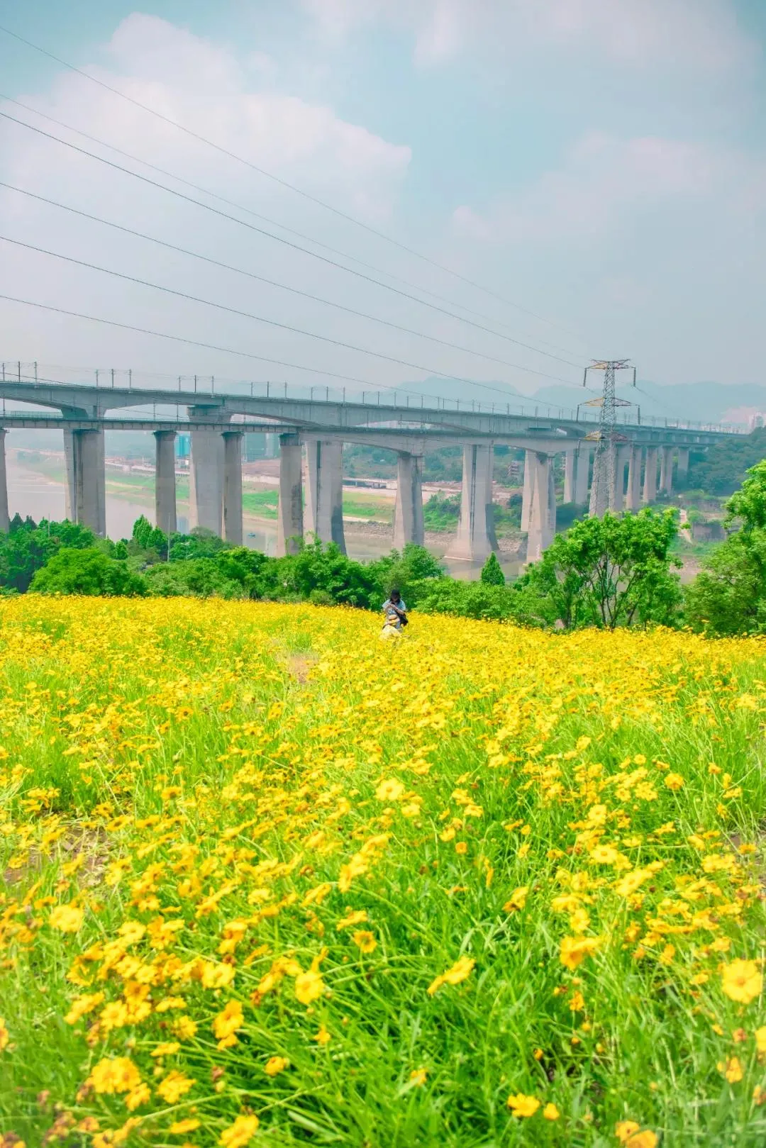 轻轨直达！重庆主城10大打卡、溜娃圣地！最快30分钟飚拢