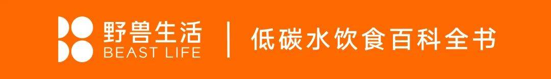 什么油最健康？25种食用油大盘点｜野兽生活