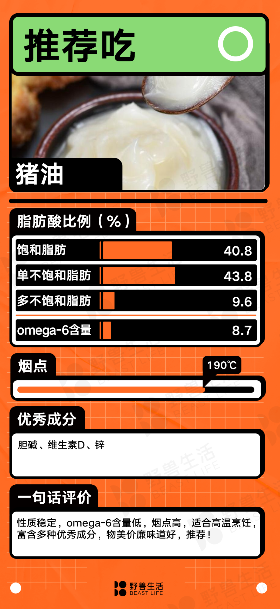 什么油最健康？25种食用油大盘点｜野兽生活