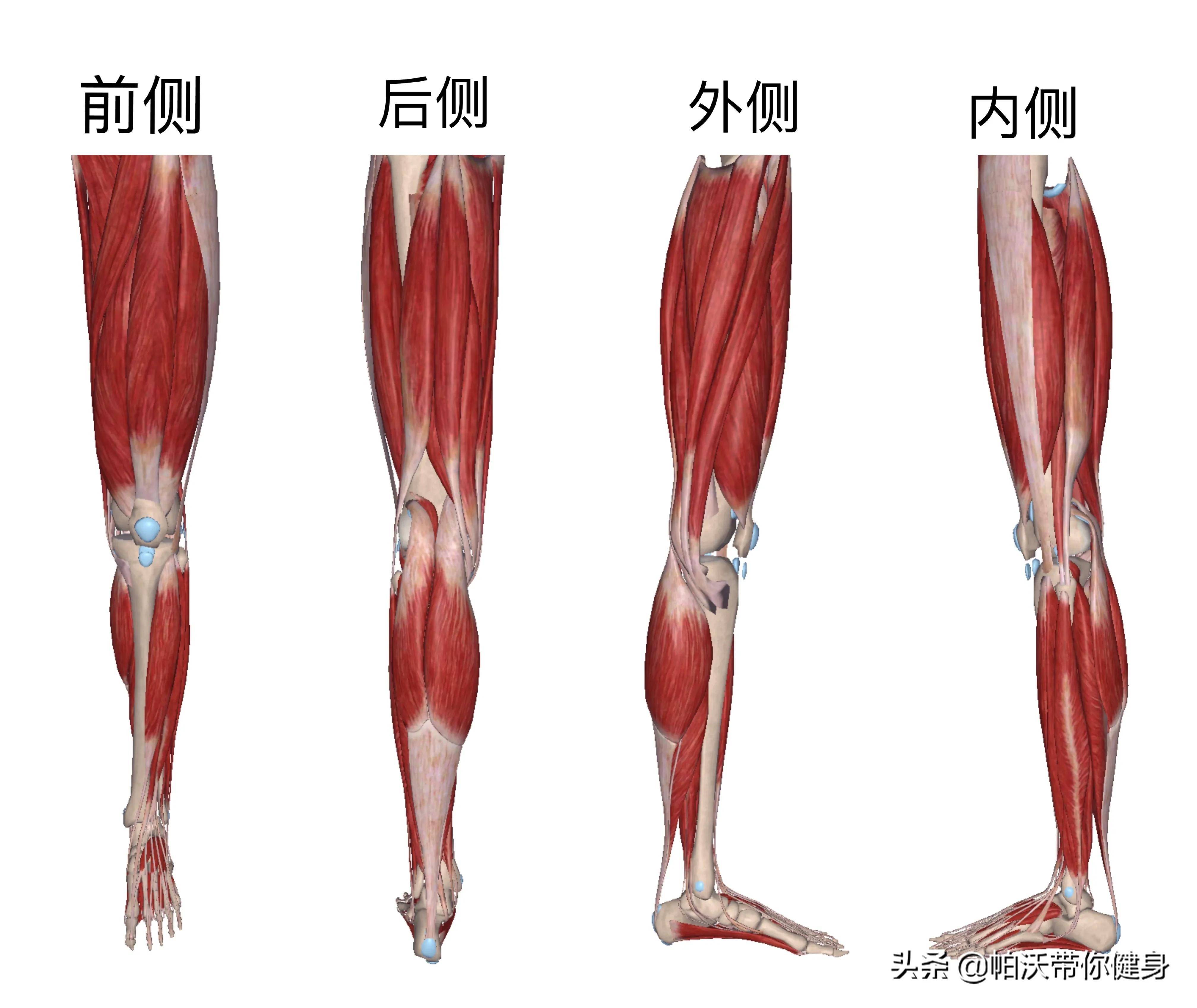 腿粗的朋友，福利来了，所有瘦腿的方法都在这里了，赶快收藏起来